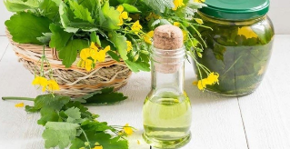 The juice of the plant